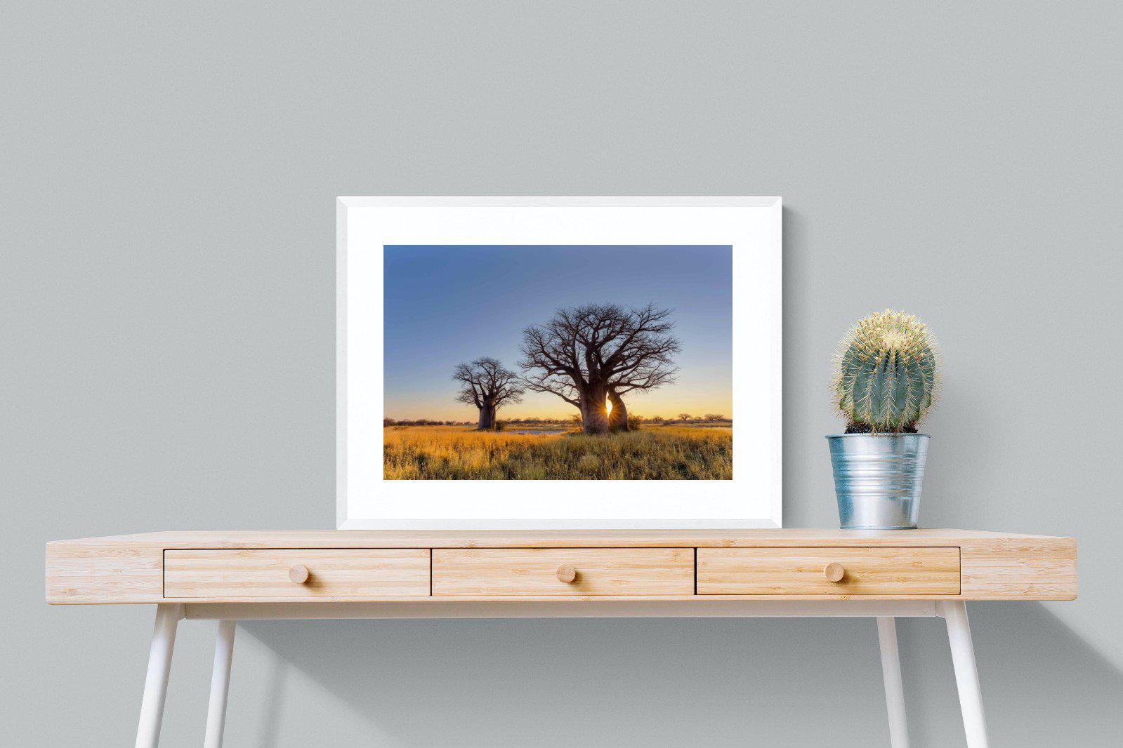 Baobab-Wall_Art-80 x 60cm-Framed Print-White-Pixalot