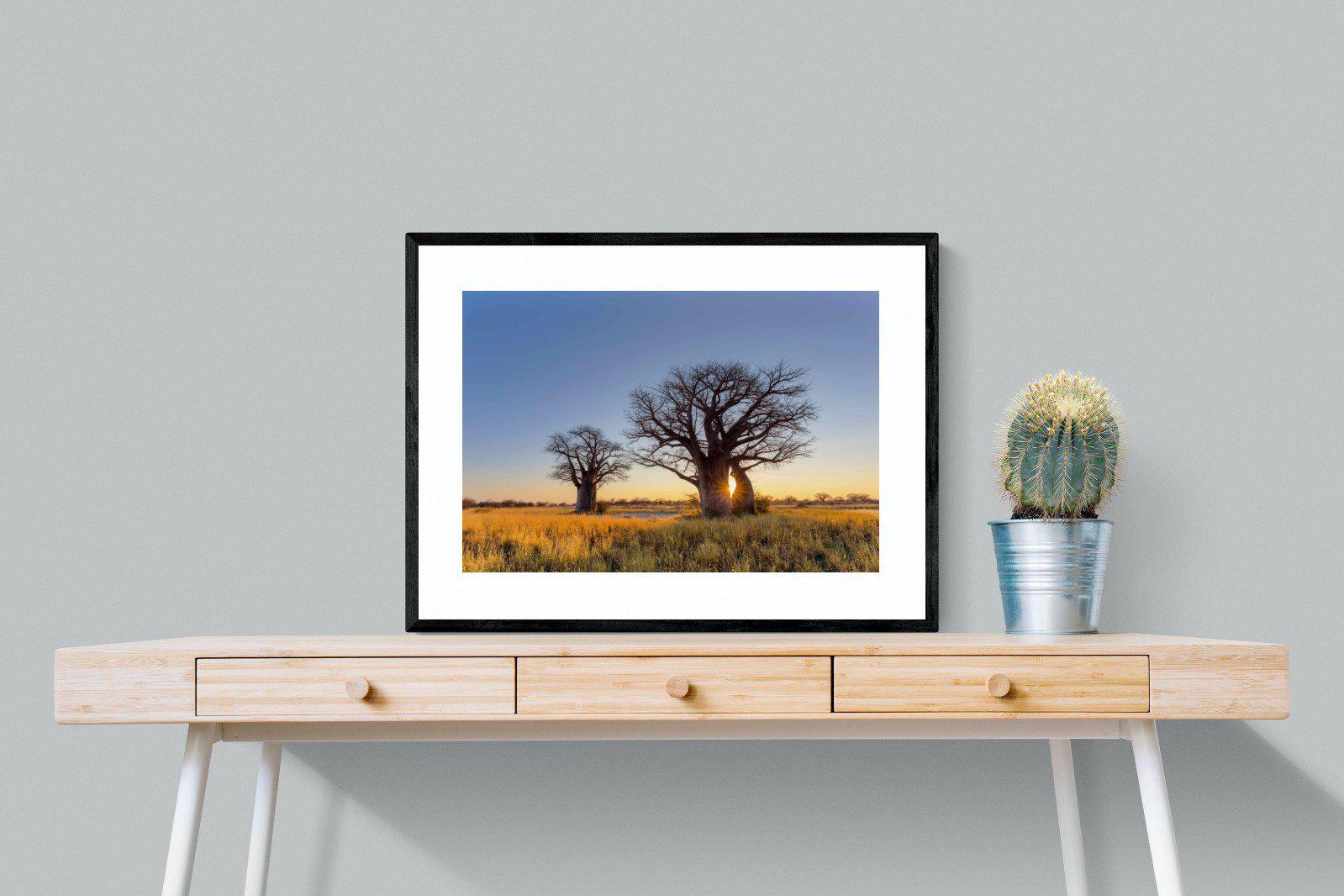 Baobab-Wall_Art-80 x 60cm-Framed Print-Black-Pixalot