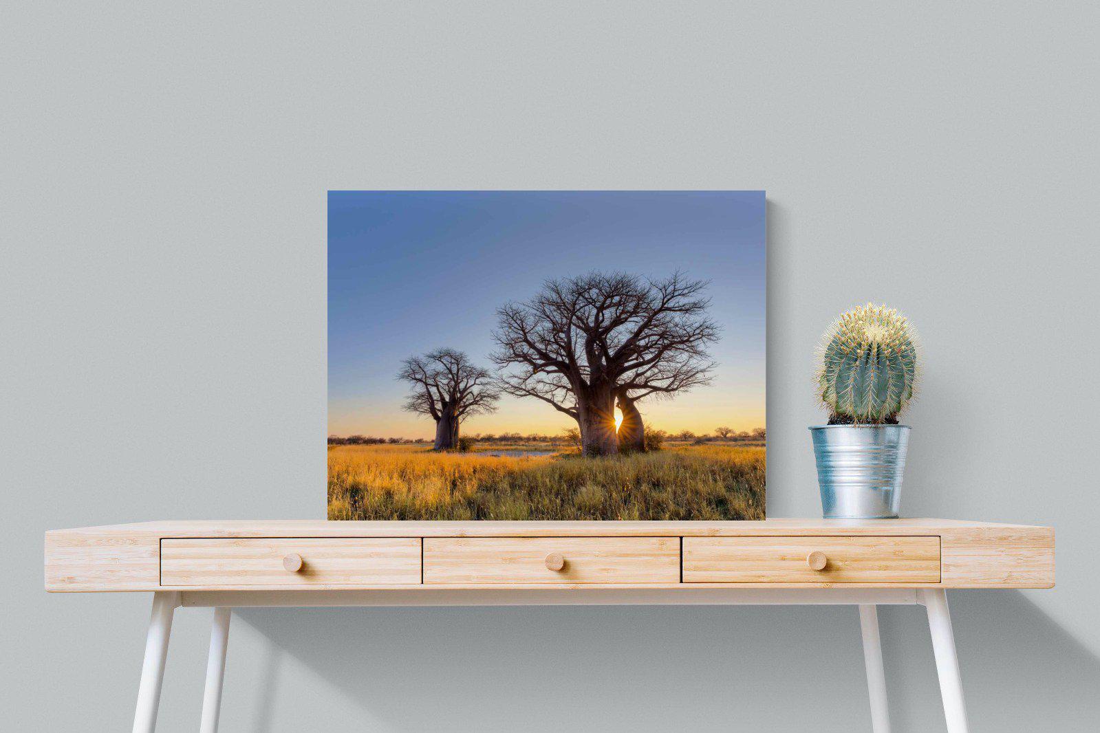 Baobab-Wall_Art-80 x 60cm-Mounted Canvas-No Frame-Pixalot