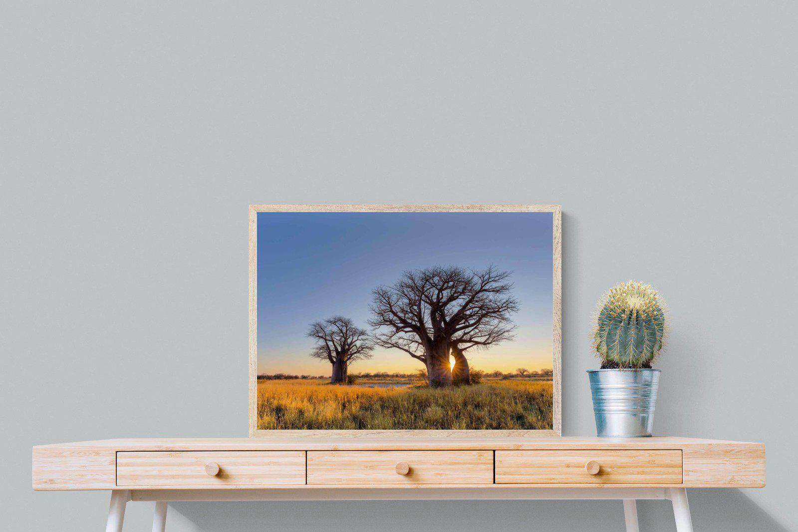 Baobab-Wall_Art-80 x 60cm-Mounted Canvas-Wood-Pixalot