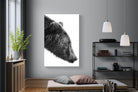 Bear-Wall_Art-120 x 180cm-Mounted Canvas-No Frame-Pixalot