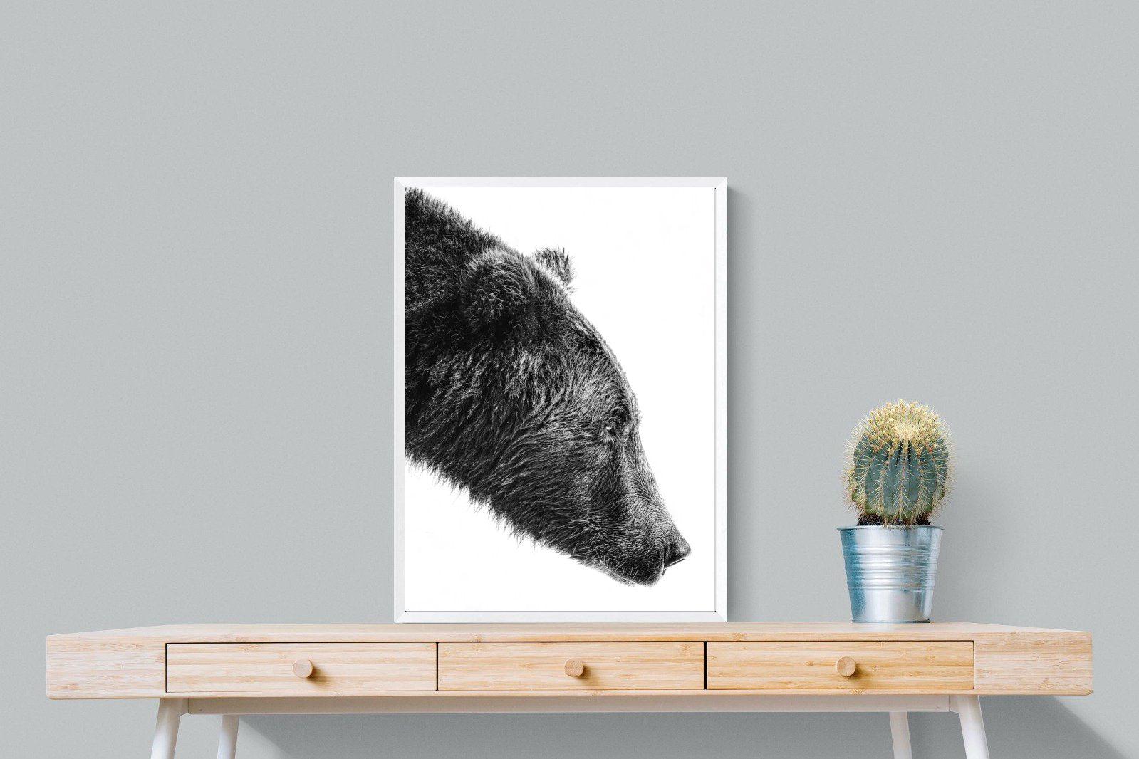 Bear-Wall_Art-60 x 80cm-Mounted Canvas-White-Pixalot