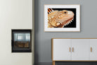 Bearded Dragon-Wall_Art-100 x 75cm-Framed Print-Wood-Pixalot