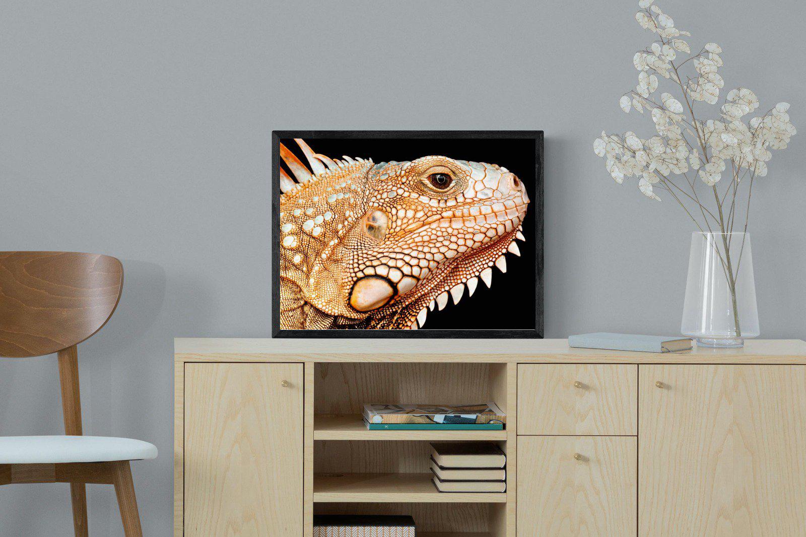 Bearded Dragon-Wall_Art-60 x 45cm-Mounted Canvas-Black-Pixalot