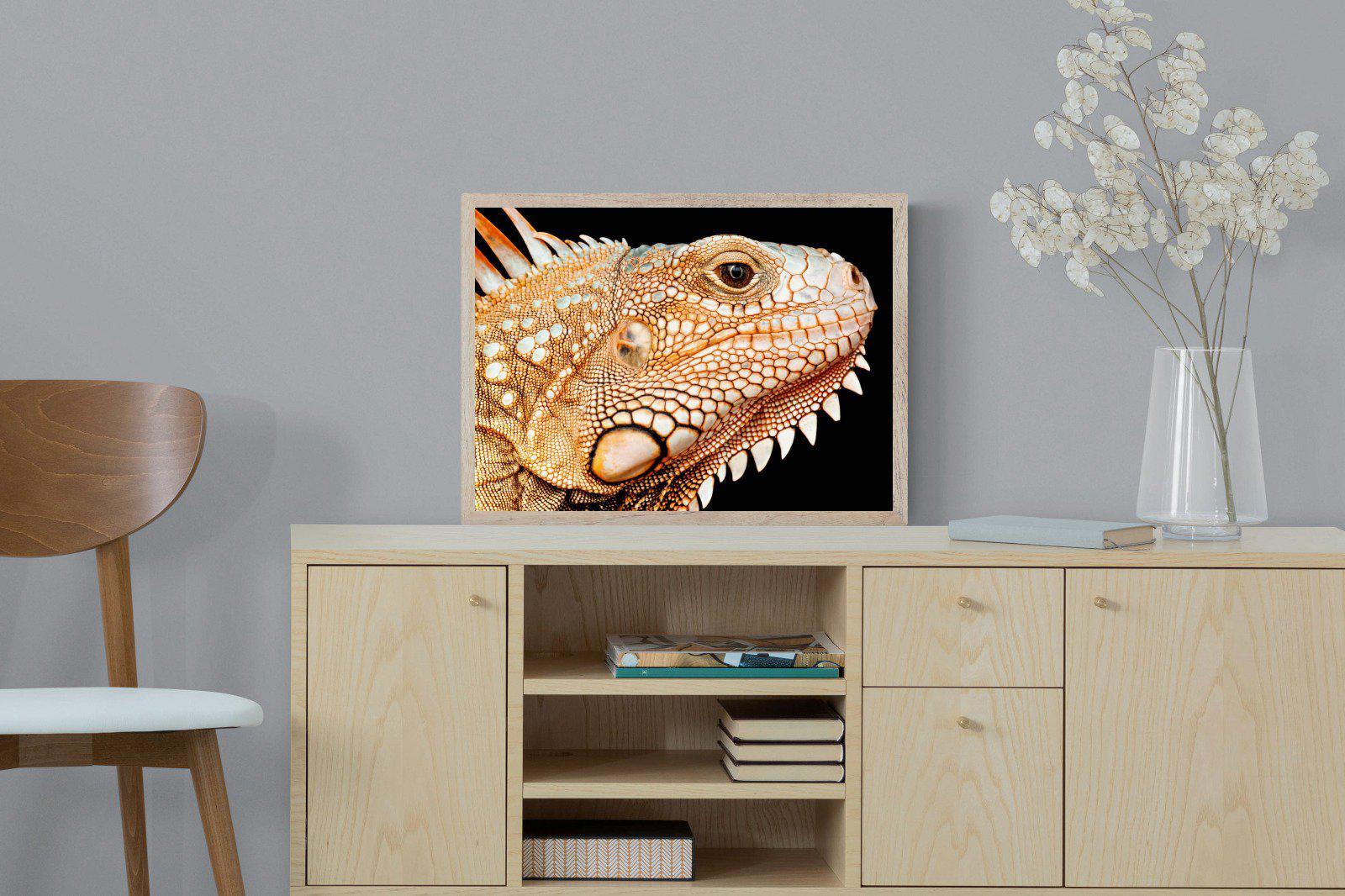 Bearded Dragon-Wall_Art-60 x 45cm-Mounted Canvas-Wood-Pixalot