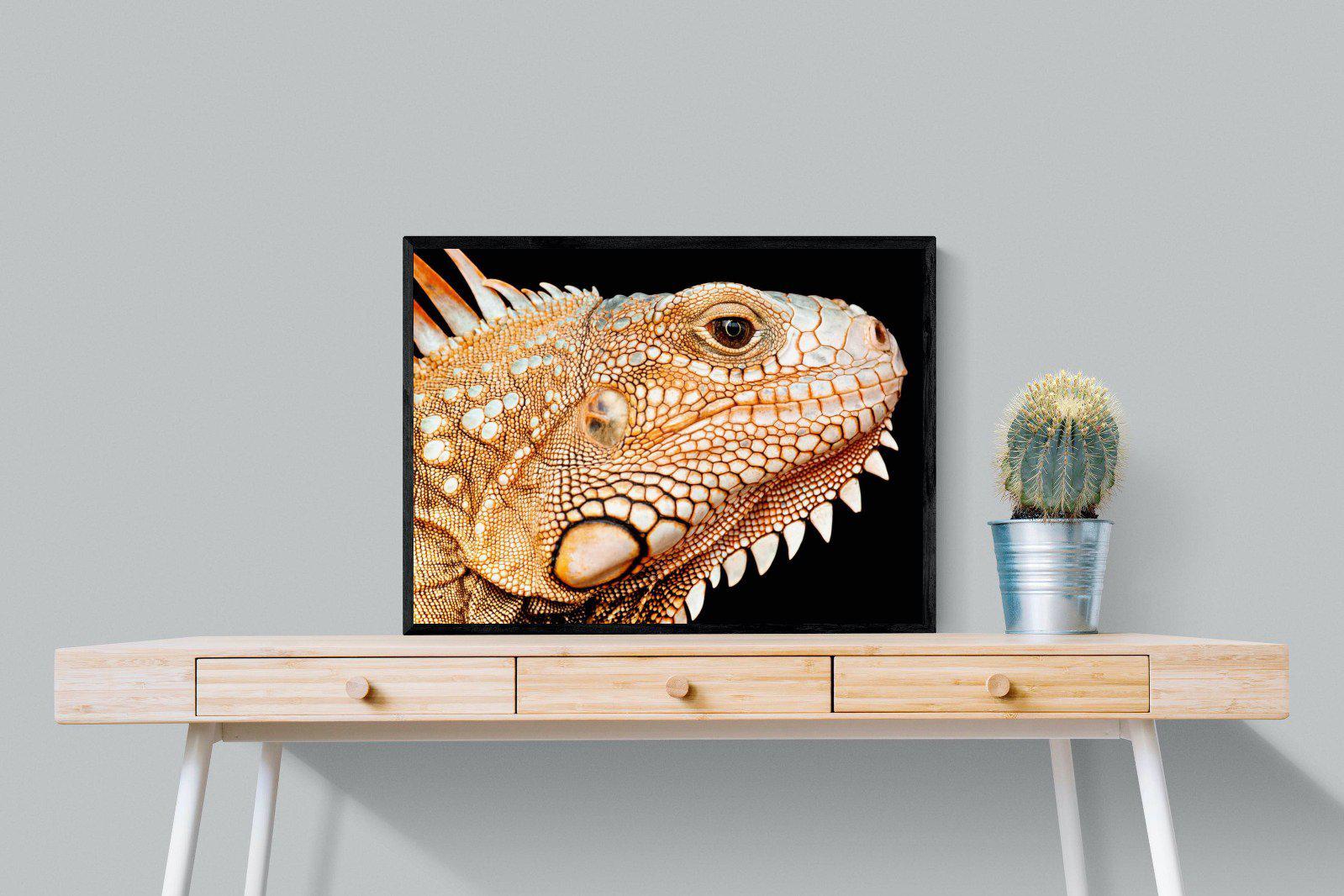 Bearded Dragon-Wall_Art-80 x 60cm-Mounted Canvas-Black-Pixalot