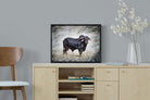 Black Bull-Wall_Art-60 x 45cm-Mounted Canvas-Black-Pixalot
