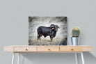 Black Bull-Wall_Art-80 x 60cm-Mounted Canvas-No Frame-Pixalot