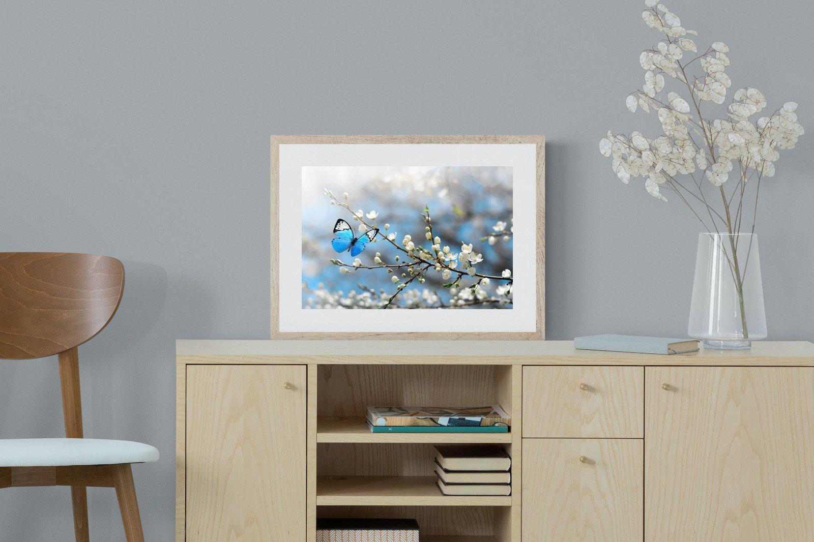 Blue Flutter-Wall_Art-60 x 45cm-Framed Print-Wood-Pixalot
