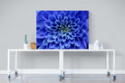Blue Petals-Wall_Art-120 x 90cm-Mounted Canvas-No Frame-Pixalot