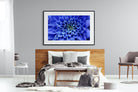 Blue Petals-Wall_Art-150 x 100cm-Framed Print-Black-Pixalot