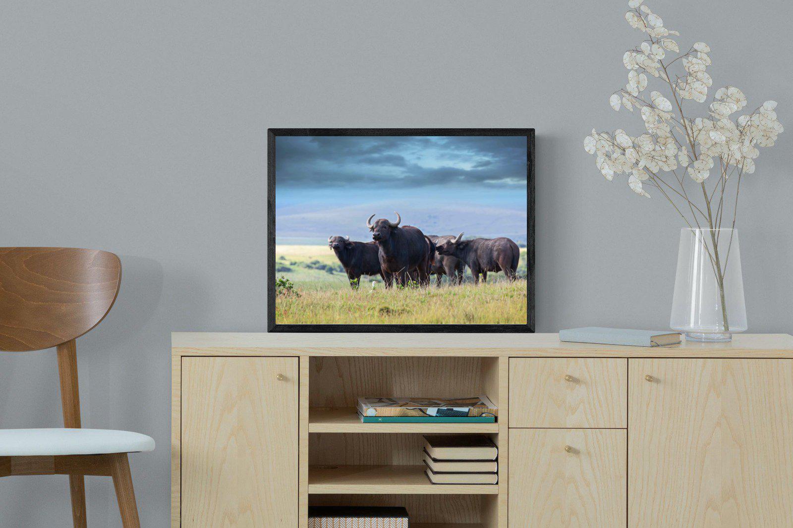 Buffalo-Wall_Art-60 x 45cm-Mounted Canvas-Black-Pixalot