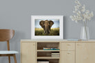 Bull Elephant-Wall_Art-60 x 45cm-Framed Print-White-Pixalot