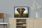 Bull Elephant-Wall_Art-60 x 45cm-Mounted Canvas-Black-Pixalot