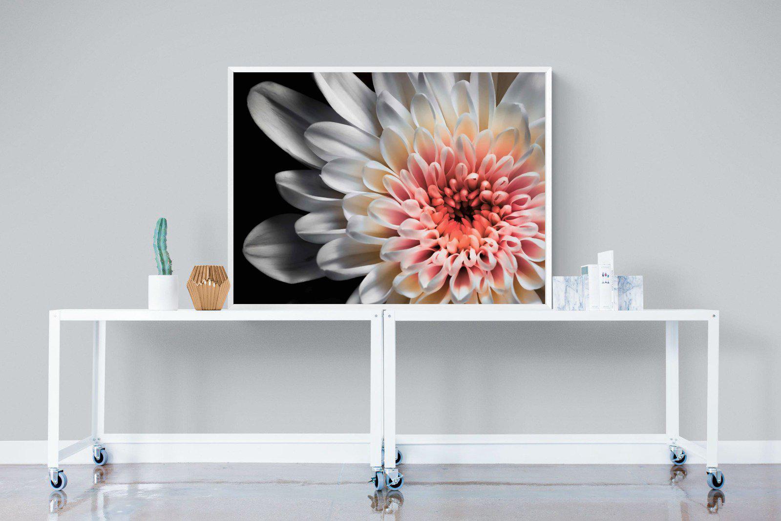 Burst-Wall_Art-120 x 90cm-Mounted Canvas-White-Pixalot