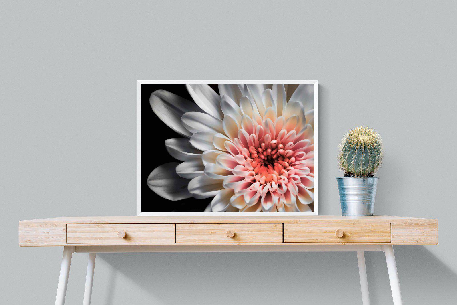 Burst-Wall_Art-80 x 60cm-Mounted Canvas-White-Pixalot