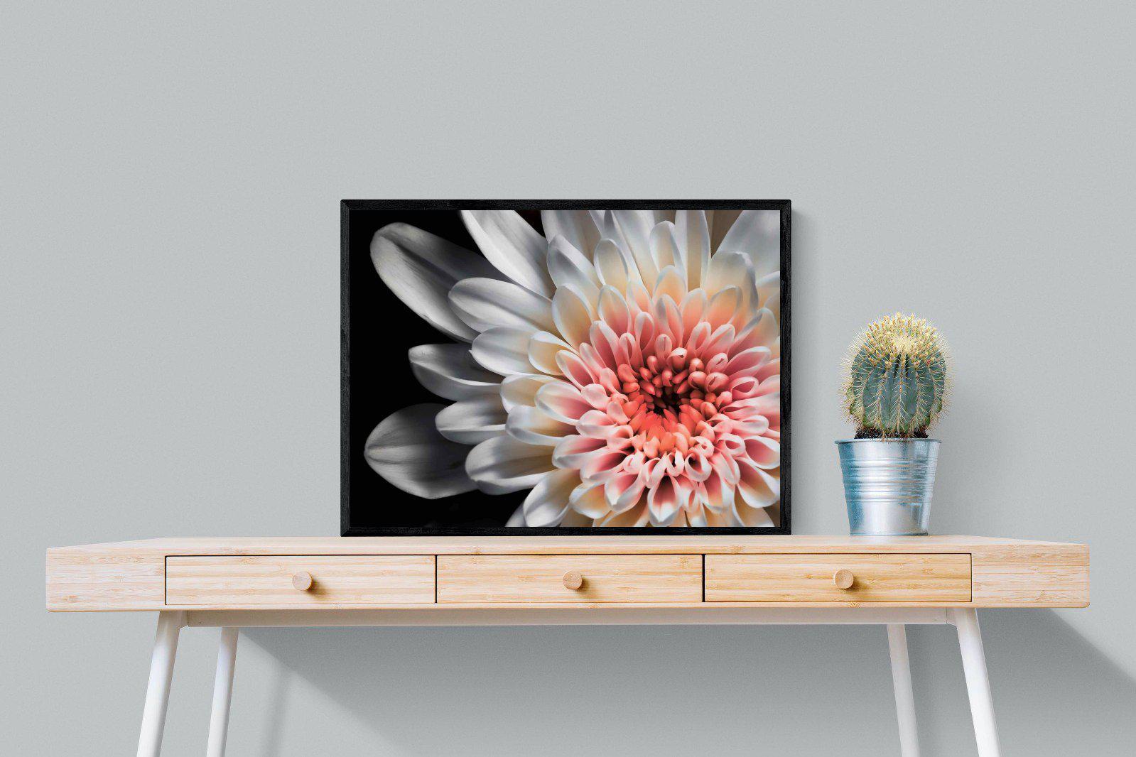 Burst-Wall_Art-80 x 60cm-Mounted Canvas-Black-Pixalot