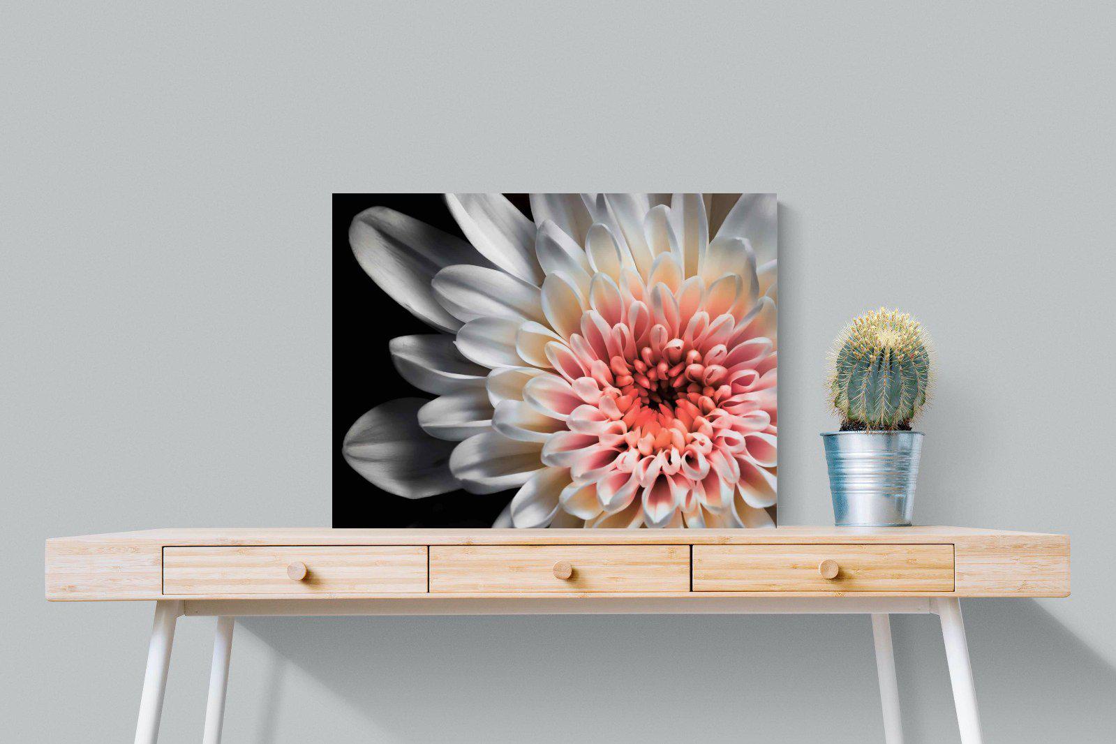 Burst-Wall_Art-80 x 60cm-Mounted Canvas-No Frame-Pixalot