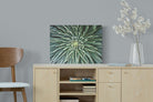 Cactus-Wall_Art-60 x 45cm-Mounted Canvas-No Frame-Pixalot