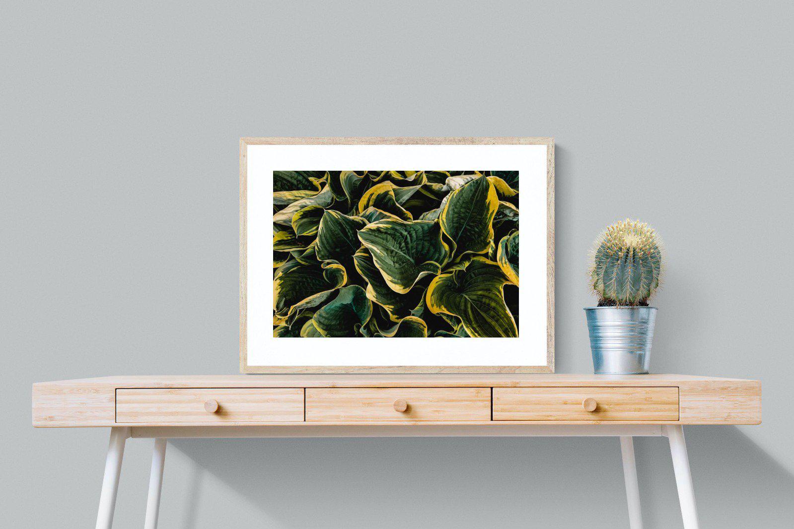 Canadale Gold-Wall_Art-80 x 60cm-Framed Print-Wood-Pixalot