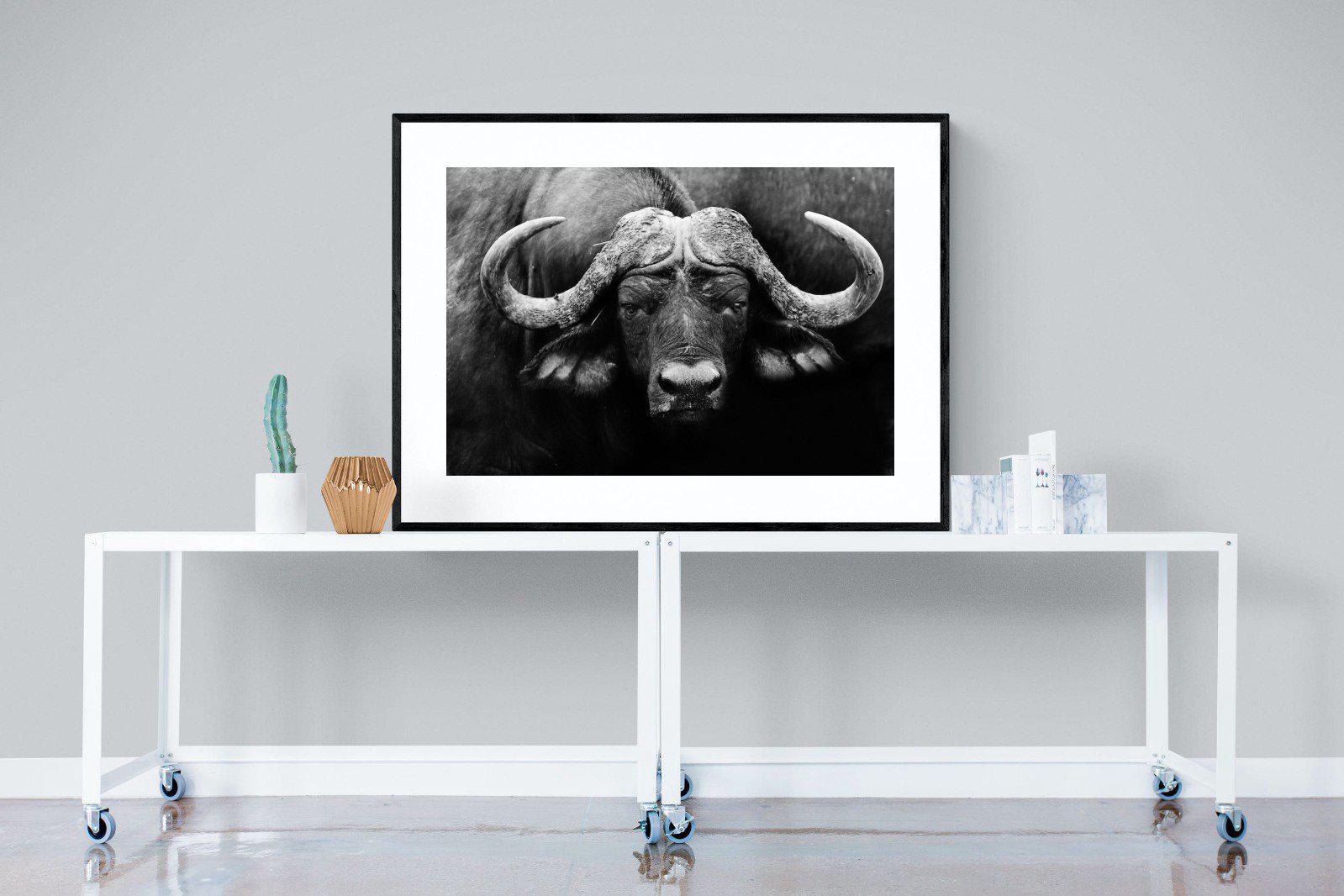 Cape Buffalo-Wall_Art-120 x 90cm-Framed Print-Black-Pixalot