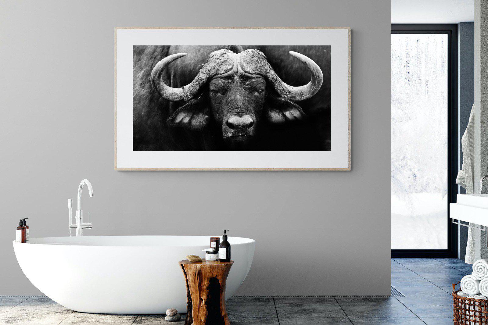 Cape Buffalo-Wall_Art-180 x 110cm-Framed Print-Wood-Pixalot