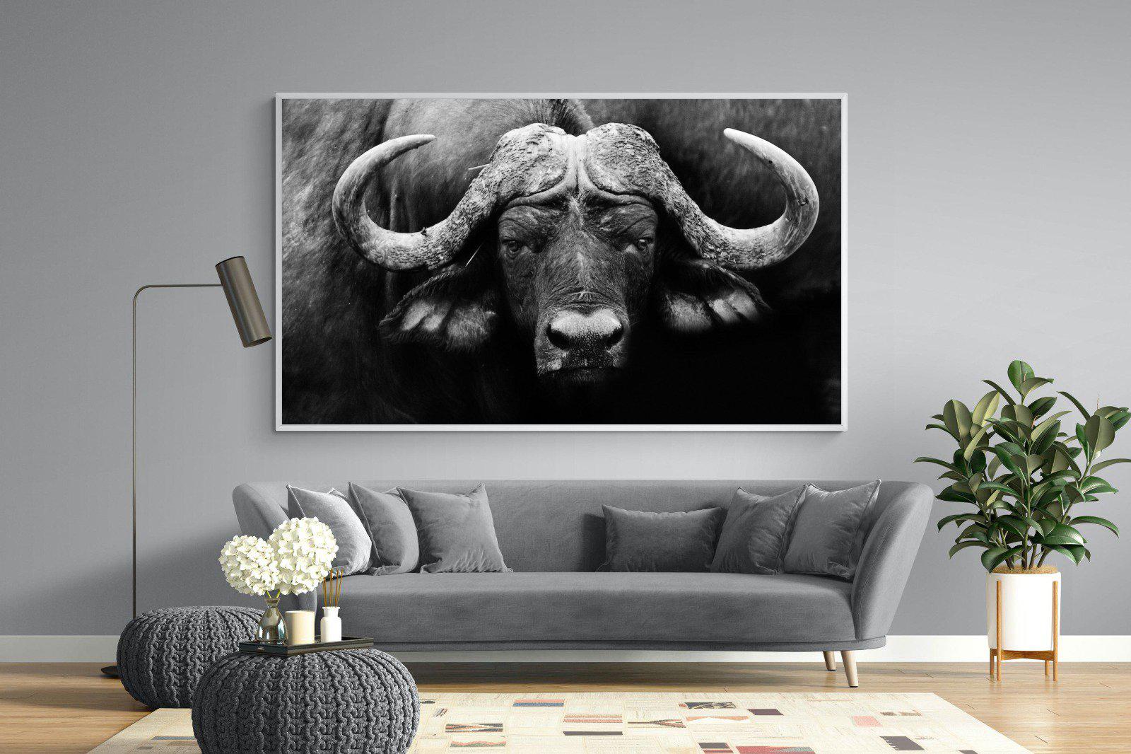 Cape Buffalo-Wall_Art-220 x 130cm-Mounted Canvas-White-Pixalot