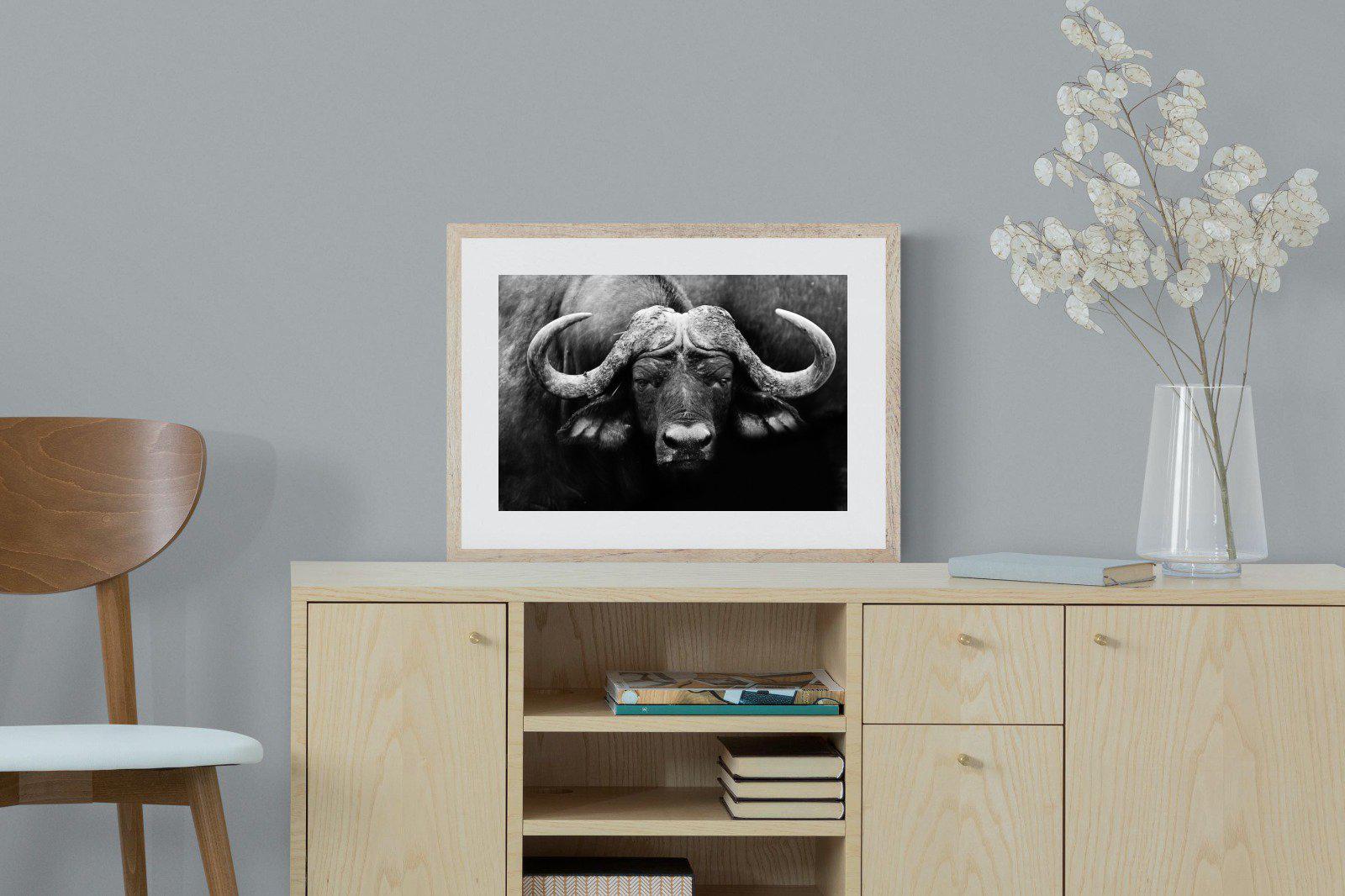 Cape Buffalo-Wall_Art-60 x 45cm-Framed Print-Wood-Pixalot