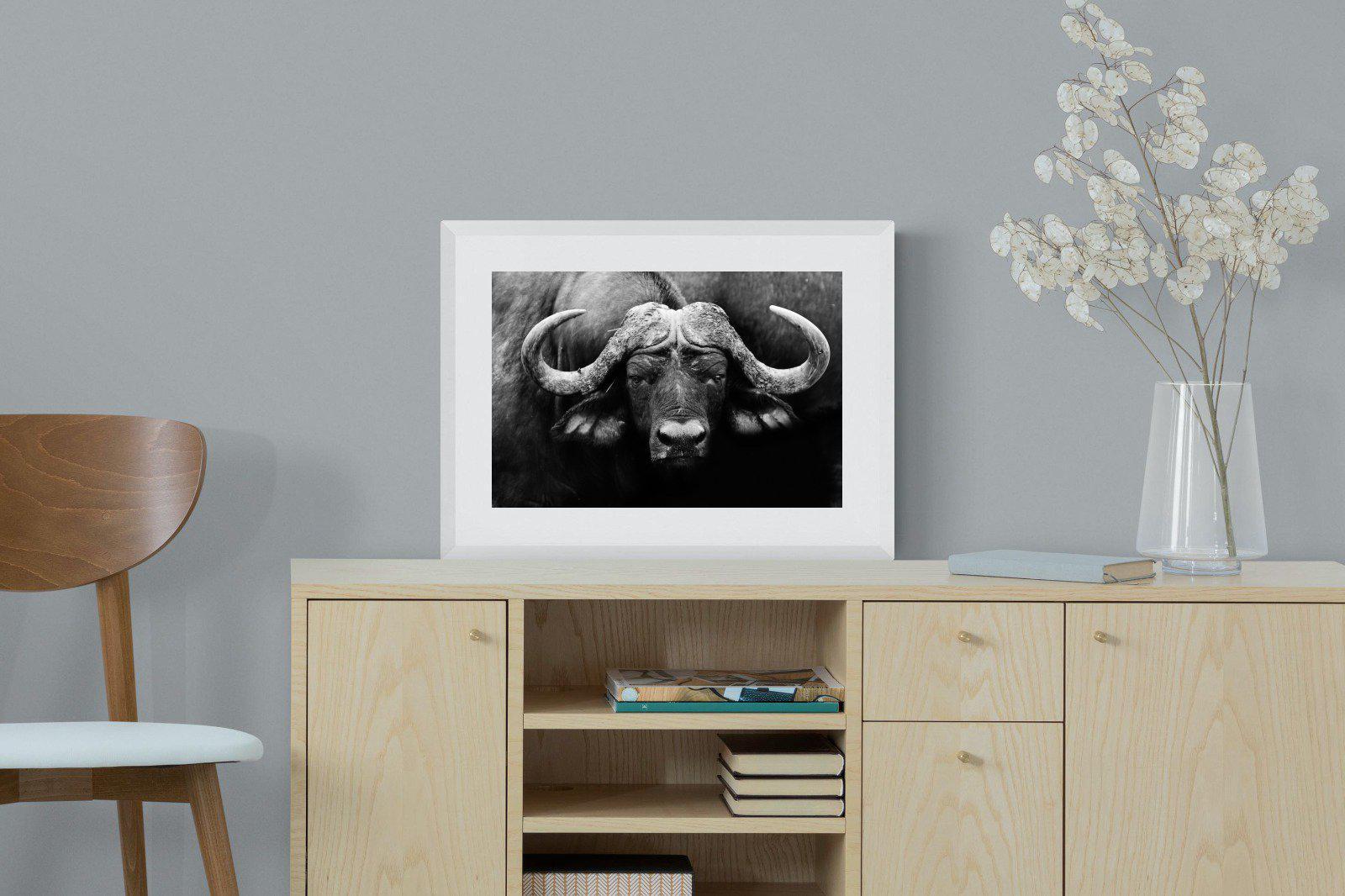 Cape Buffalo-Wall_Art-60 x 45cm-Framed Print-White-Pixalot