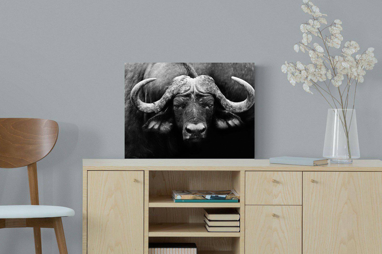Cape Buffalo-Wall_Art-60 x 45cm-Mounted Canvas-No Frame-Pixalot