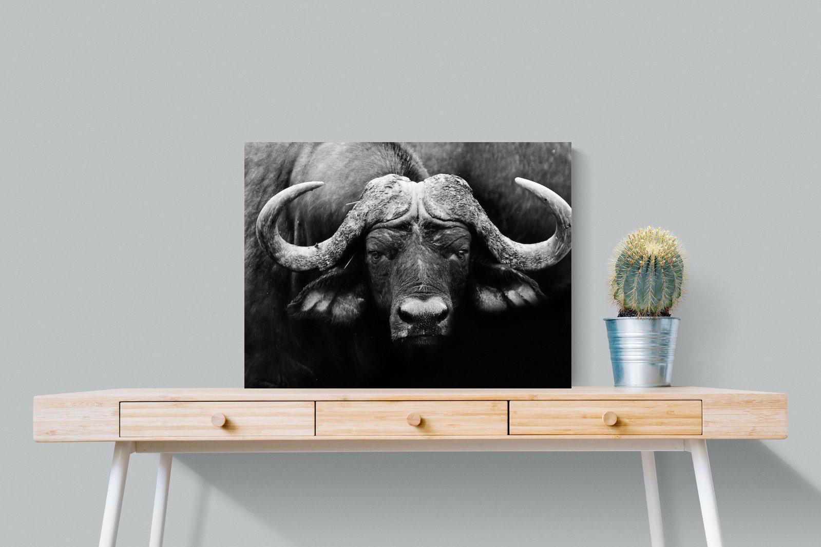 Cape Buffalo-Wall_Art-80 x 60cm-Mounted Canvas-No Frame-Pixalot