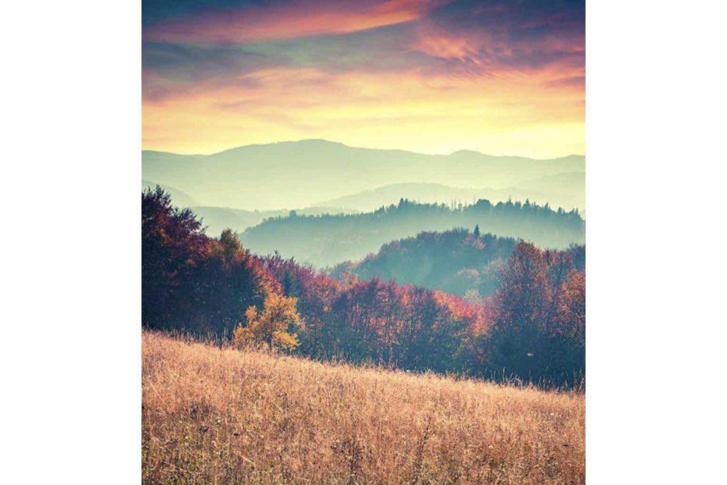 Carpathian Mountains-Wall_Art-Pixalot