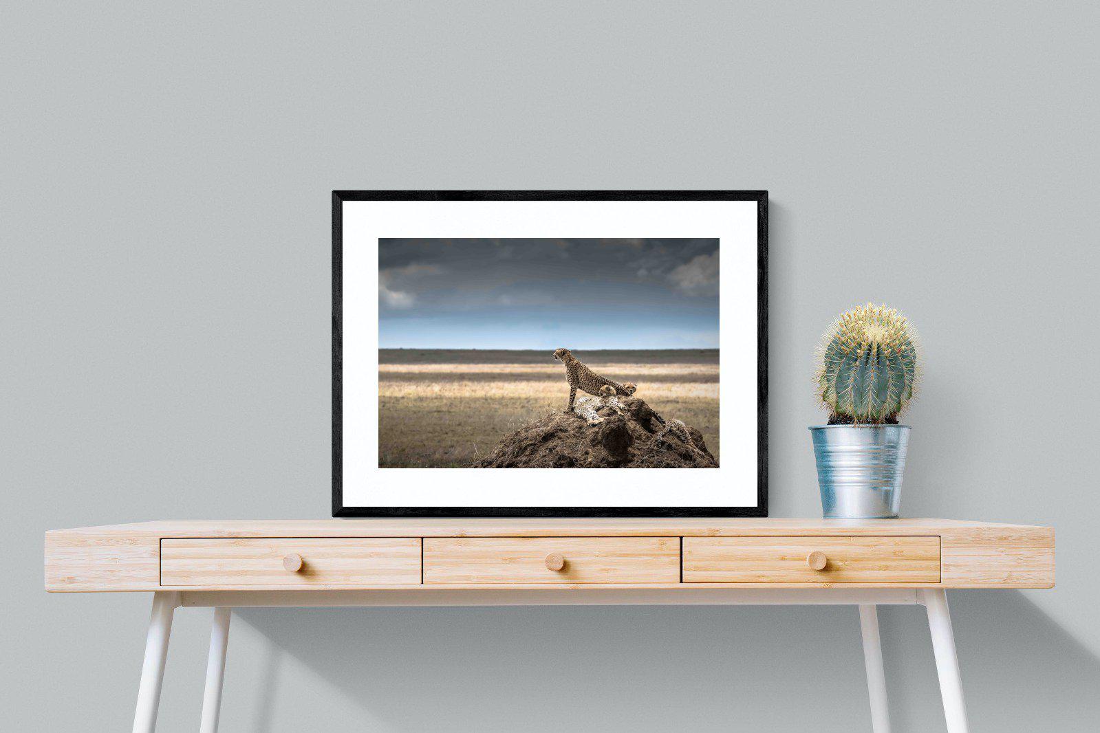 Cheetah Family-Wall_Art-80 x 60cm-Framed Print-Black-Pixalot