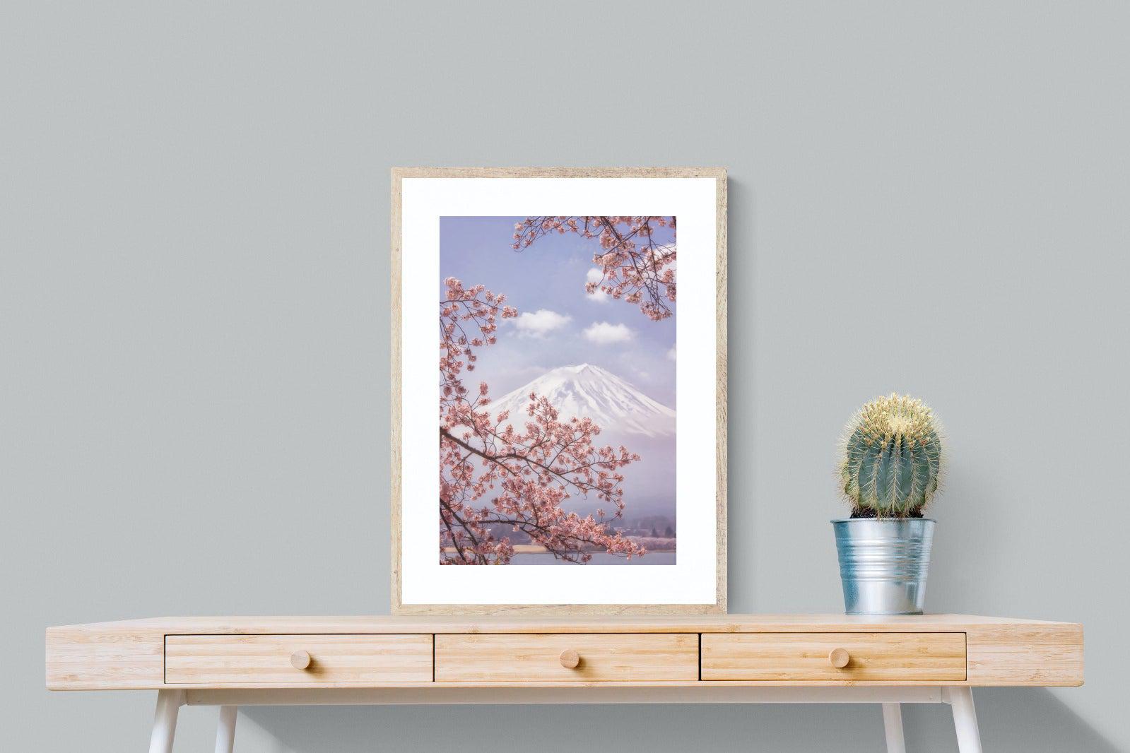 Cherry Blossom-Wall_Art-60 x 80cm-Framed Print-Wood-Pixalot