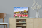 City Tulips-Wall_Art-60 x 45cm-Mounted Canvas-No Frame-Pixalot