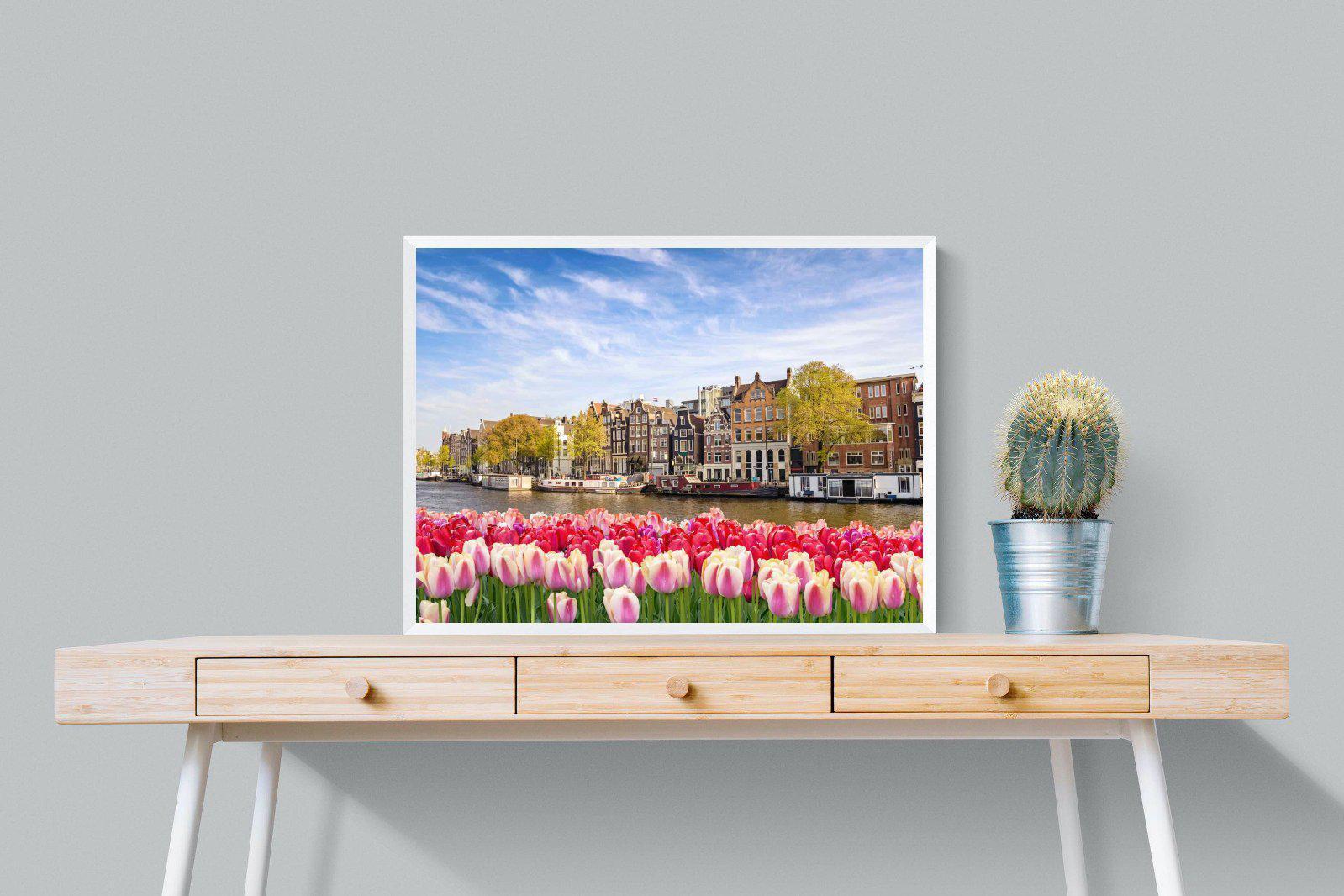 City Tulips-Wall_Art-80 x 60cm-Mounted Canvas-White-Pixalot