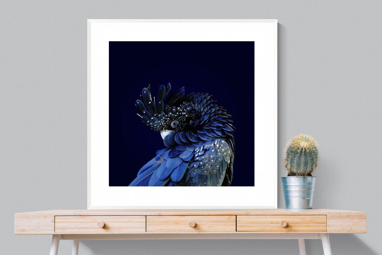 Cockatoo-Wall_Art-100 x 100cm-Framed Print-White-Pixalot