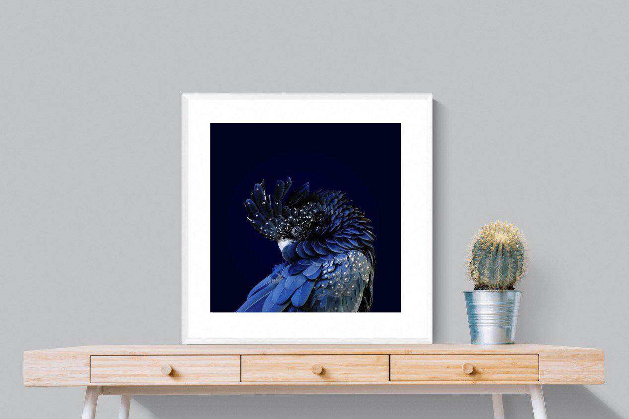 Cockatoo-Wall_Art-80 x 80cm-Framed Print-White-Pixalot