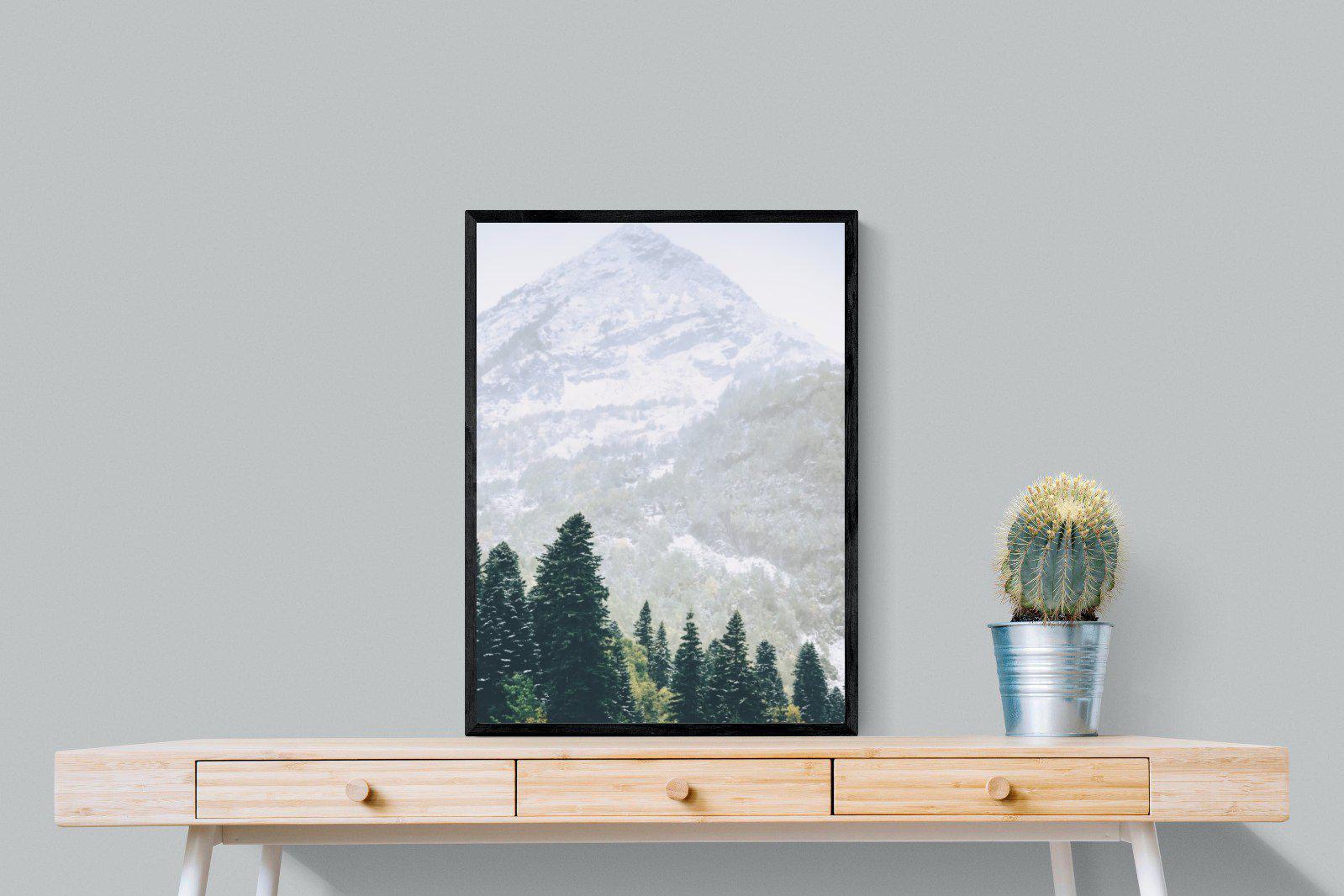Coniferous Forest-Wall_Art-60 x 80cm-Mounted Canvas-Black-Pixalot