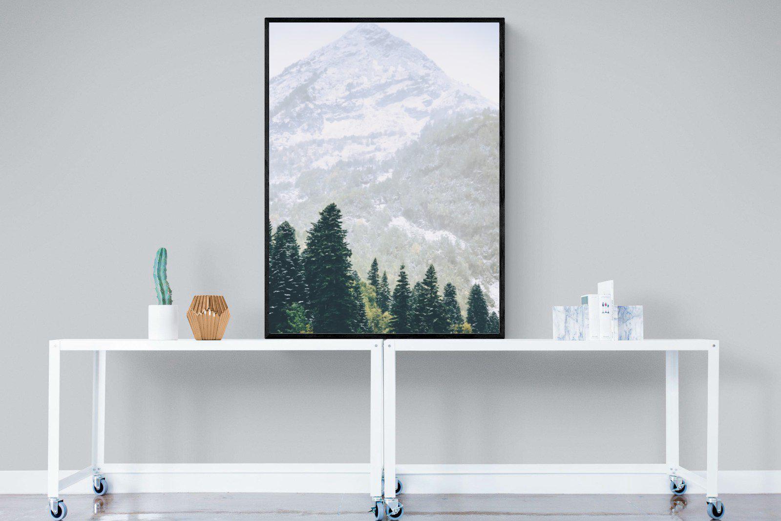 Coniferous Forest-Wall_Art-90 x 120cm-Mounted Canvas-Black-Pixalot