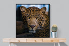 Contempt-Wall_Art-100 x 100cm-Mounted Canvas-Black-Pixalot