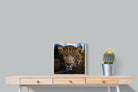 Contempt-Wall_Art-50 x 50cm-Mounted Canvas-Wood-Pixalot