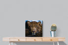 Contempt-Wall_Art-50 x 50cm-Mounted Canvas-No Frame-Pixalot