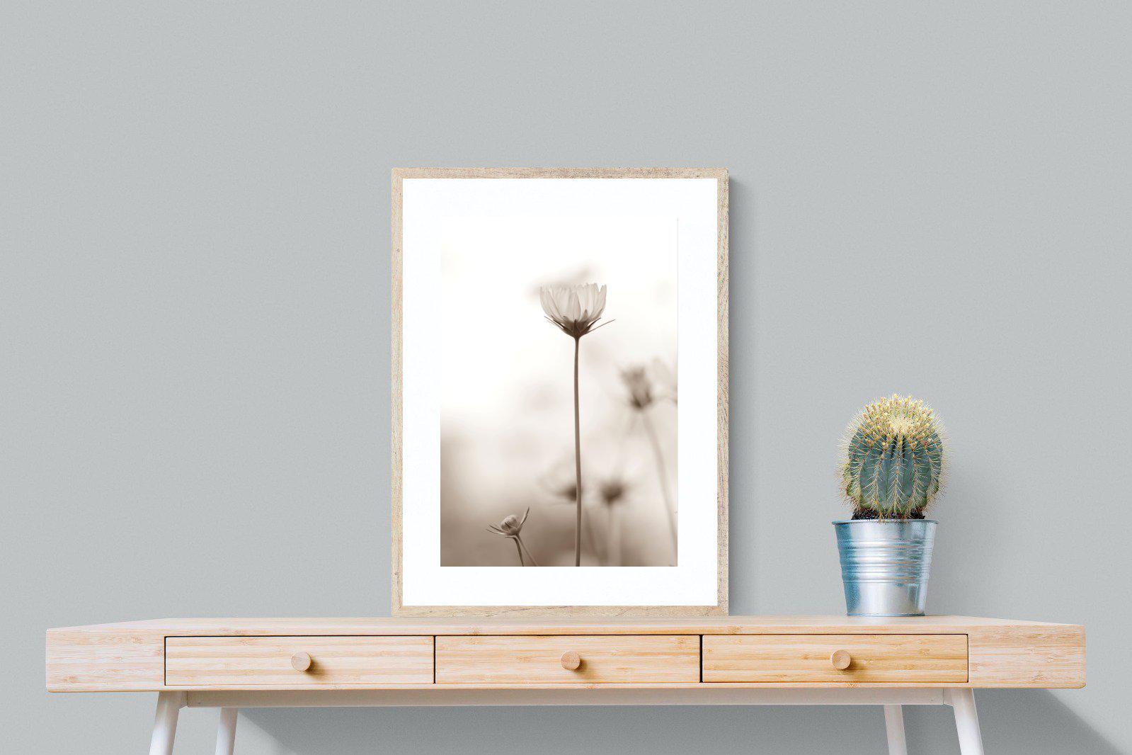 Cosmos-Wall_Art-60 x 80cm-Framed Print-Wood-Pixalot