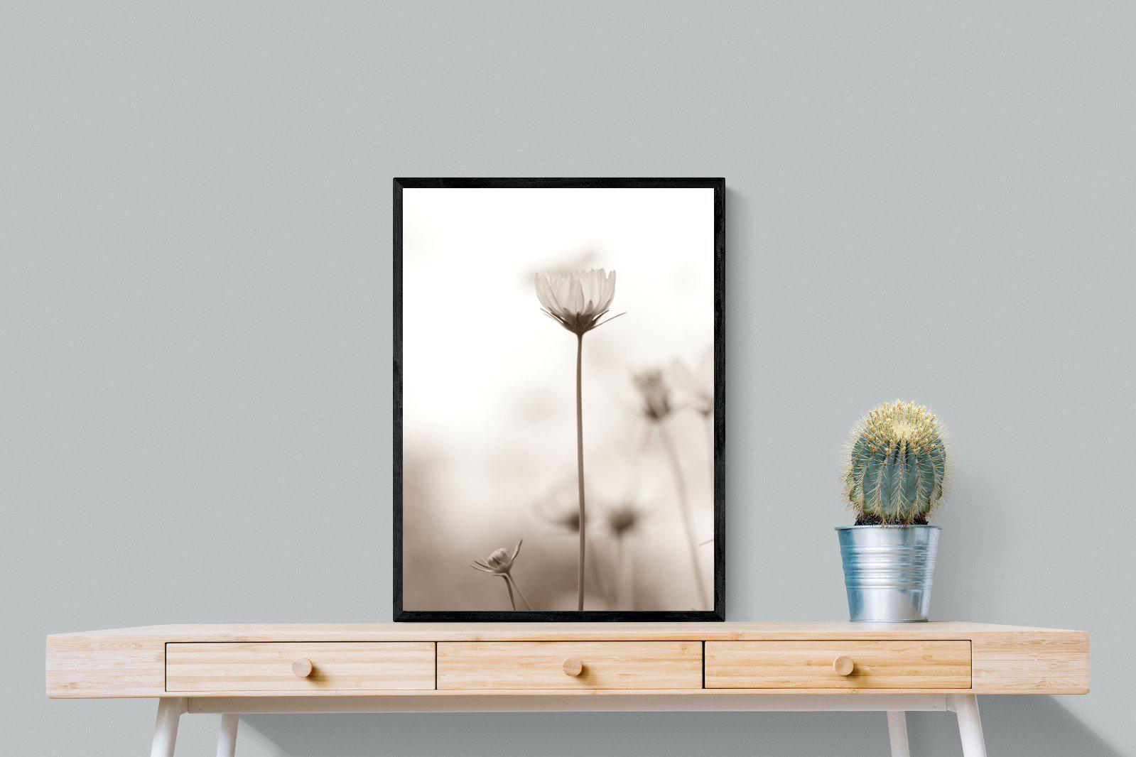 Cosmos-Wall_Art-60 x 80cm-Mounted Canvas-Black-Pixalot