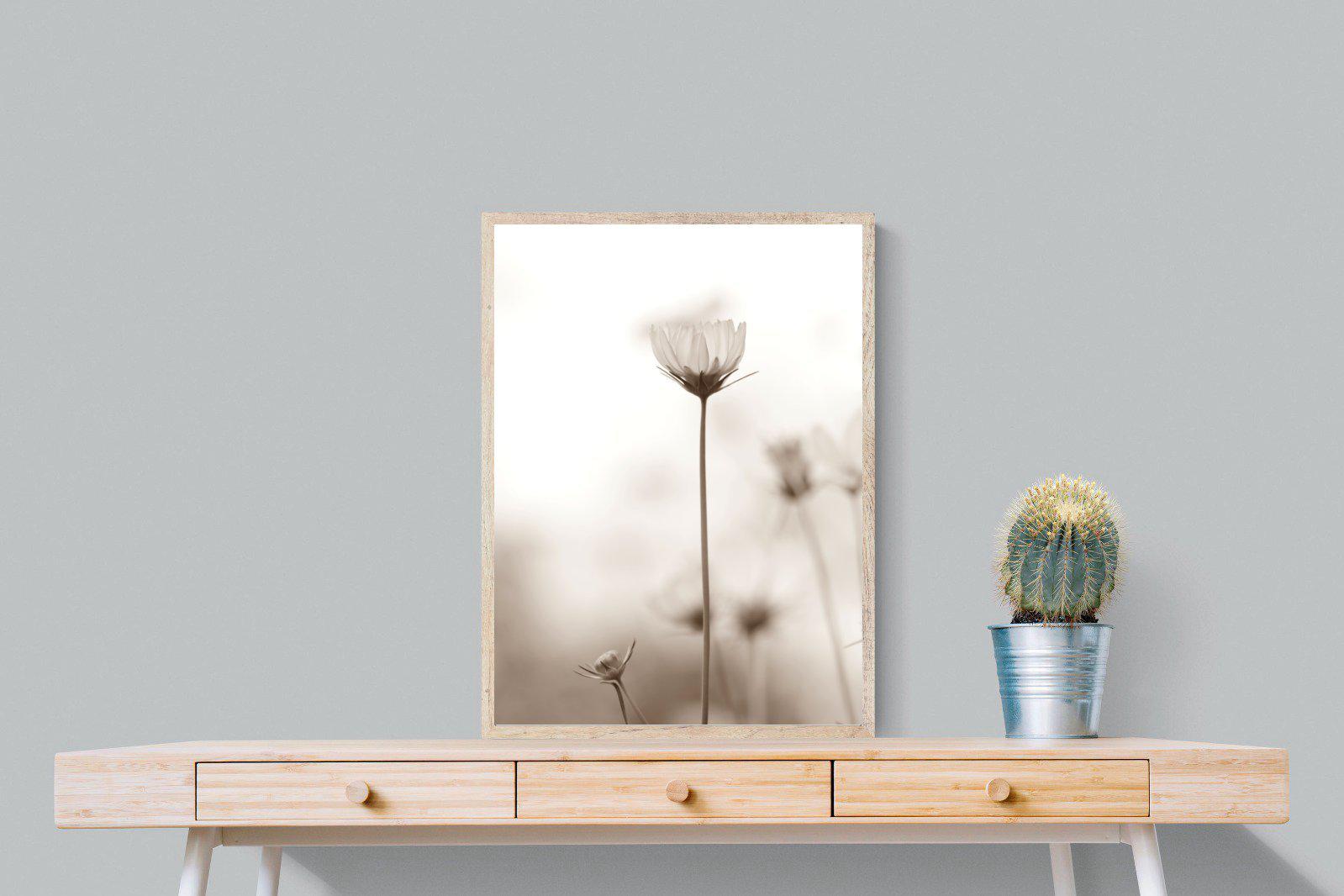 Cosmos-Wall_Art-60 x 80cm-Mounted Canvas-Wood-Pixalot