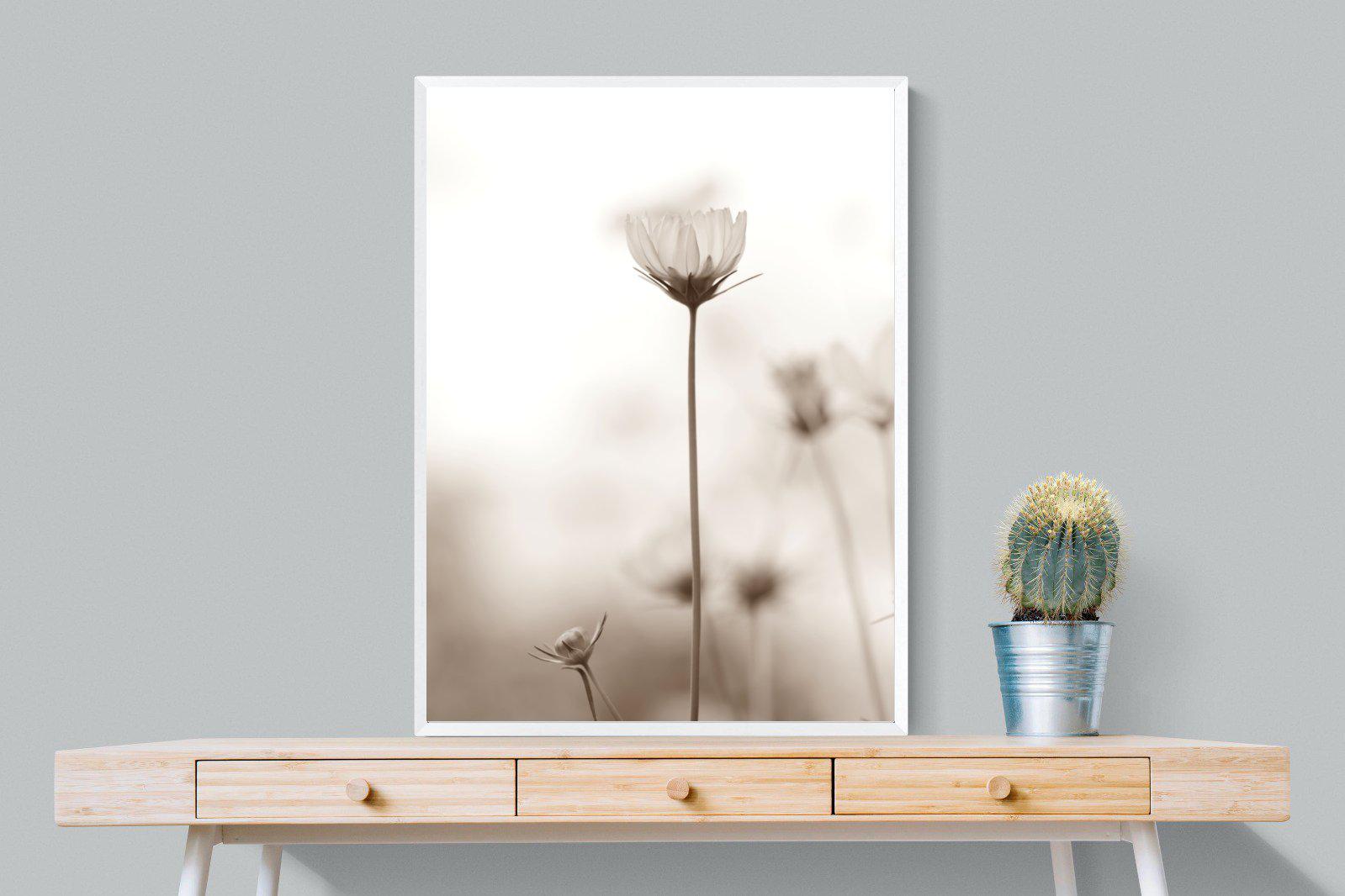 Cosmos-Wall_Art-75 x 100cm-Mounted Canvas-White-Pixalot