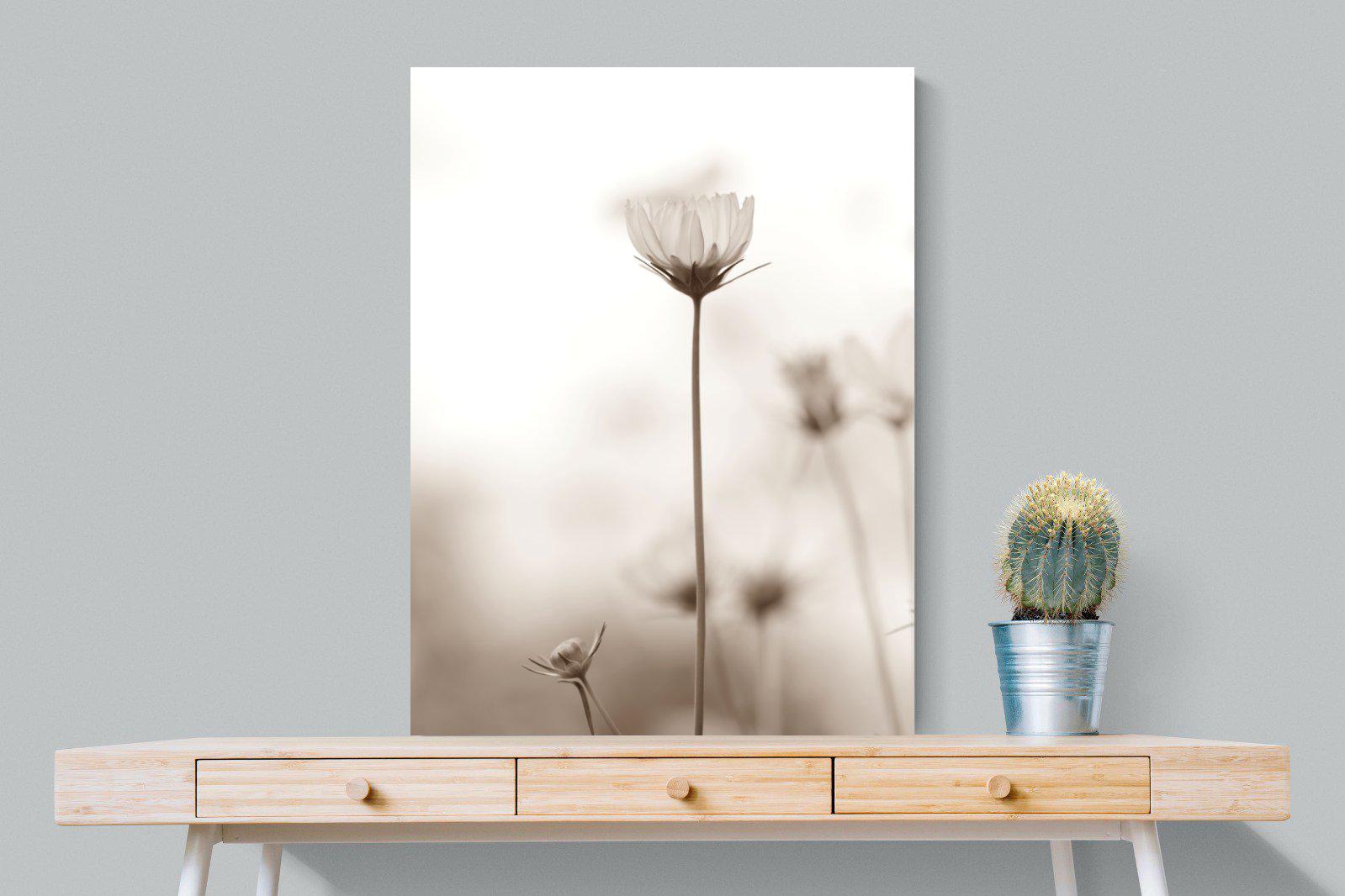 Cosmos-Wall_Art-75 x 100cm-Mounted Canvas-No Frame-Pixalot