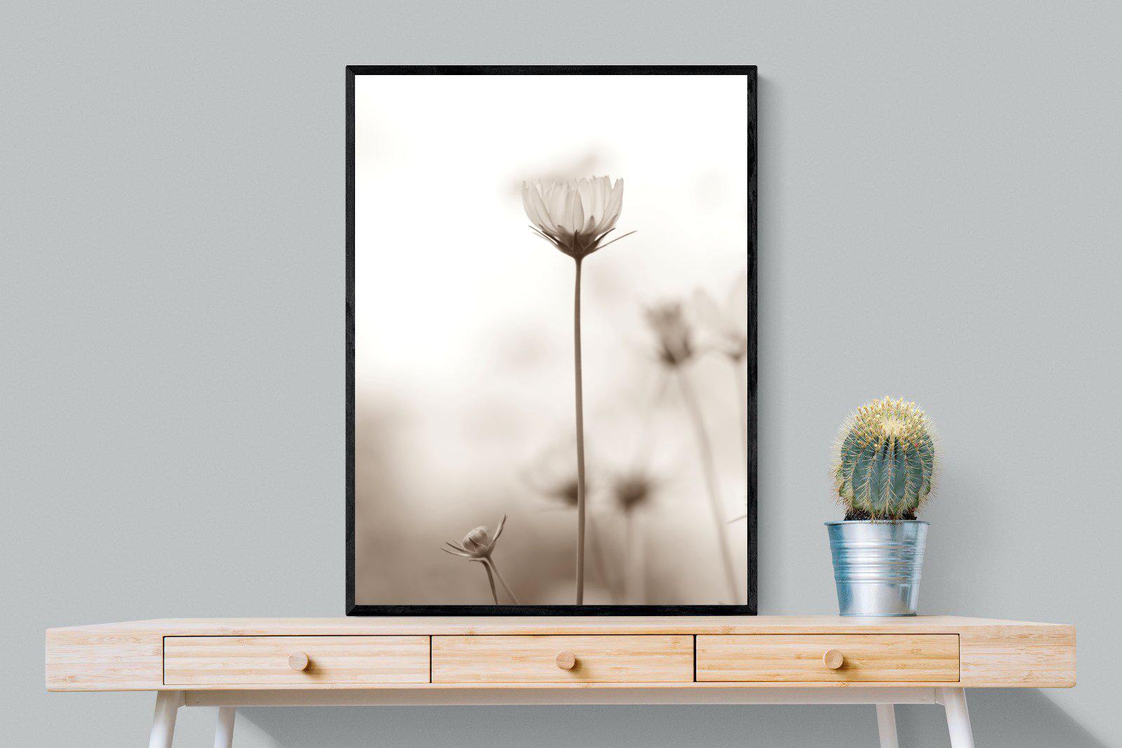 Cosmos-Wall_Art-75 x 100cm-Mounted Canvas-Black-Pixalot