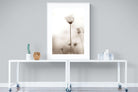 Cosmos-Wall_Art-90 x 120cm-Framed Print-White-Pixalot